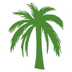 Palm Tree 11
