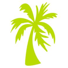 Palm Tree 