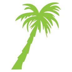 Palm Tree 01