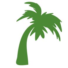 Palm Tree 