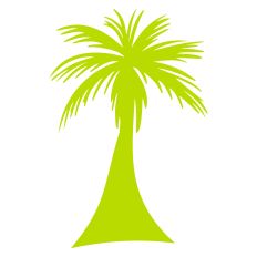 Palm Tree