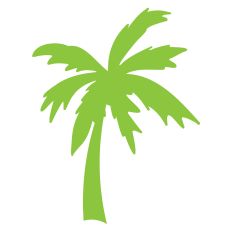 Palm Tree 