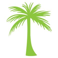 Palm Tree 