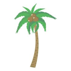 Palm Tree 01