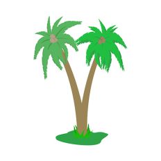 Palm Tree 012