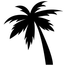 Palm Tree Silhouette