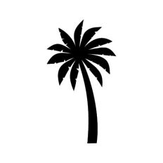 Palm Tree Silhouette
