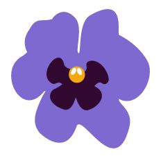 Floral Delight Blooming Pansy 
