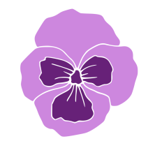 Pansy Flower