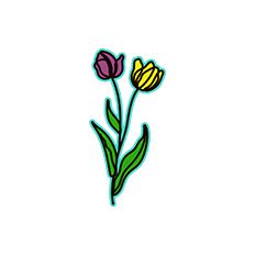 Paper Flower Decoration