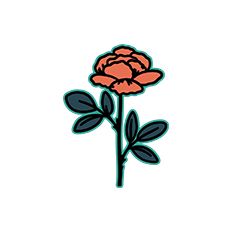 Paper Flower Decoration