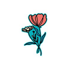 Paper Flower Decoration