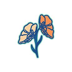 Paper Flower Decoration