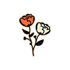 Paper Flower Decoration