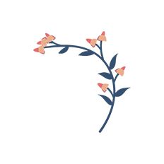 Paper Flower Decoration