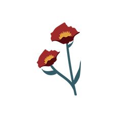 Paper Flower Decoration