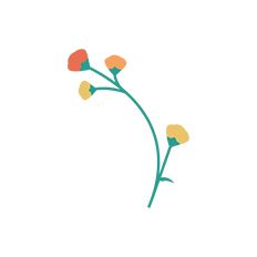 Paper Flower Decoration