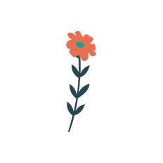 Paper Flower Decoration