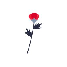 Paper Flower Decoration