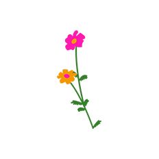 Paper Flower Decoration