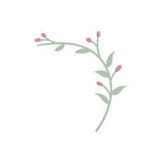 Paper Flower Decoration