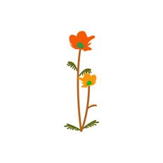 Paper Flower Decoration