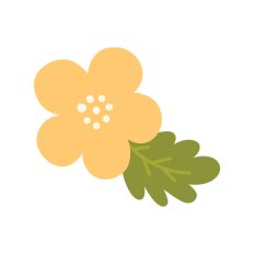 Paper Flower Decoration
