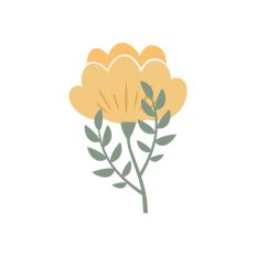 Paper Flower Decoration
