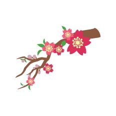 Paper Flower Decoration