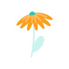 Paper Flower Decoration