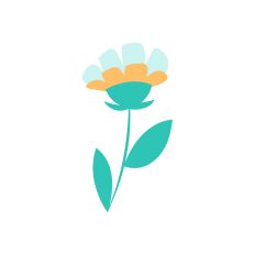 Paper Flower Decoration