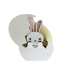 Bunny in Eggshell Treat Box