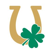 Lucky horseshoe