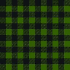 Green and black buffalo plaid
