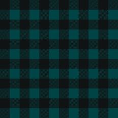 Blue and black buffalo plaid