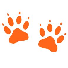 Paw Prints
