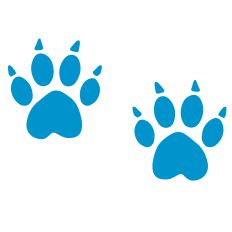 Paw Prints