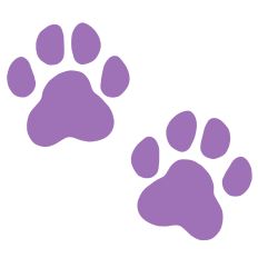 Paw Prints