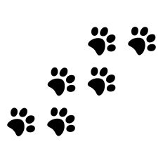 Paw Prints