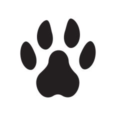 Paw prints