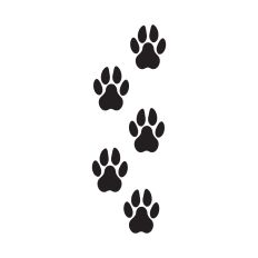 Paw prints clipart