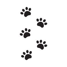Paw prints