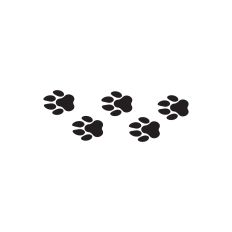Dog paw prints