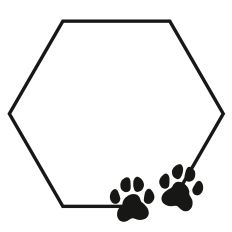Paw Prints Hexagon Frame