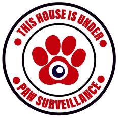 This house is under paw surveillance 
