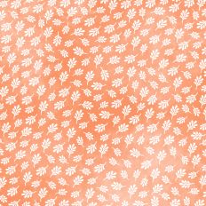 Peach Fall Ferns