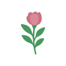 The Floral Collection  - Peony