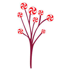 Peppermint Tree