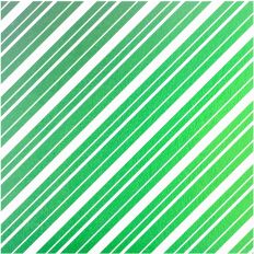 Peppermint Lane - Wide Spearmint