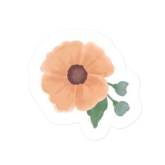 Petunia